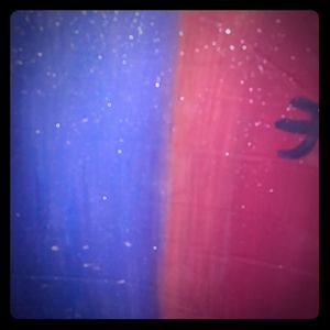 A picture and a Teddy dog